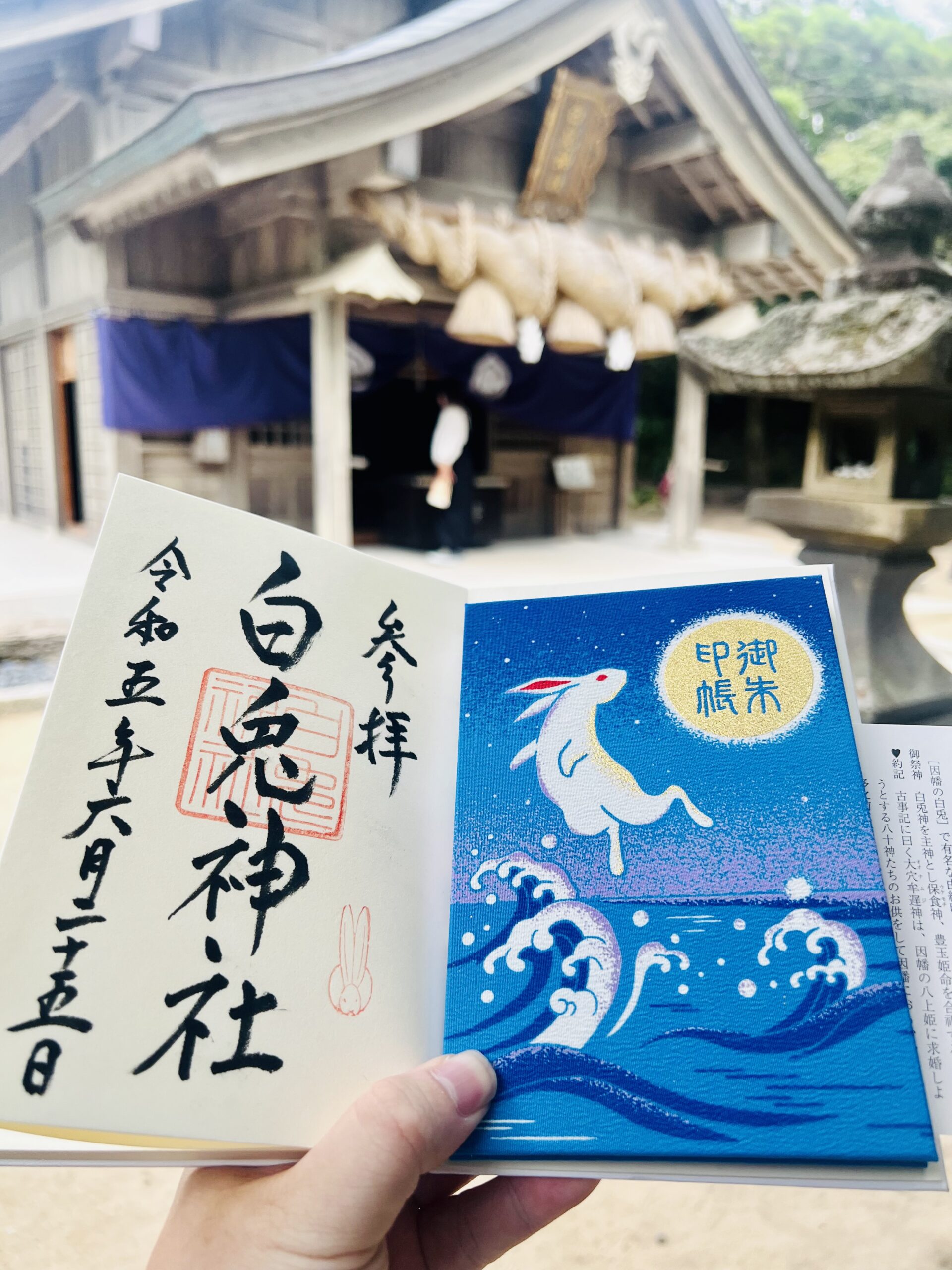 白兎神社　御朱印