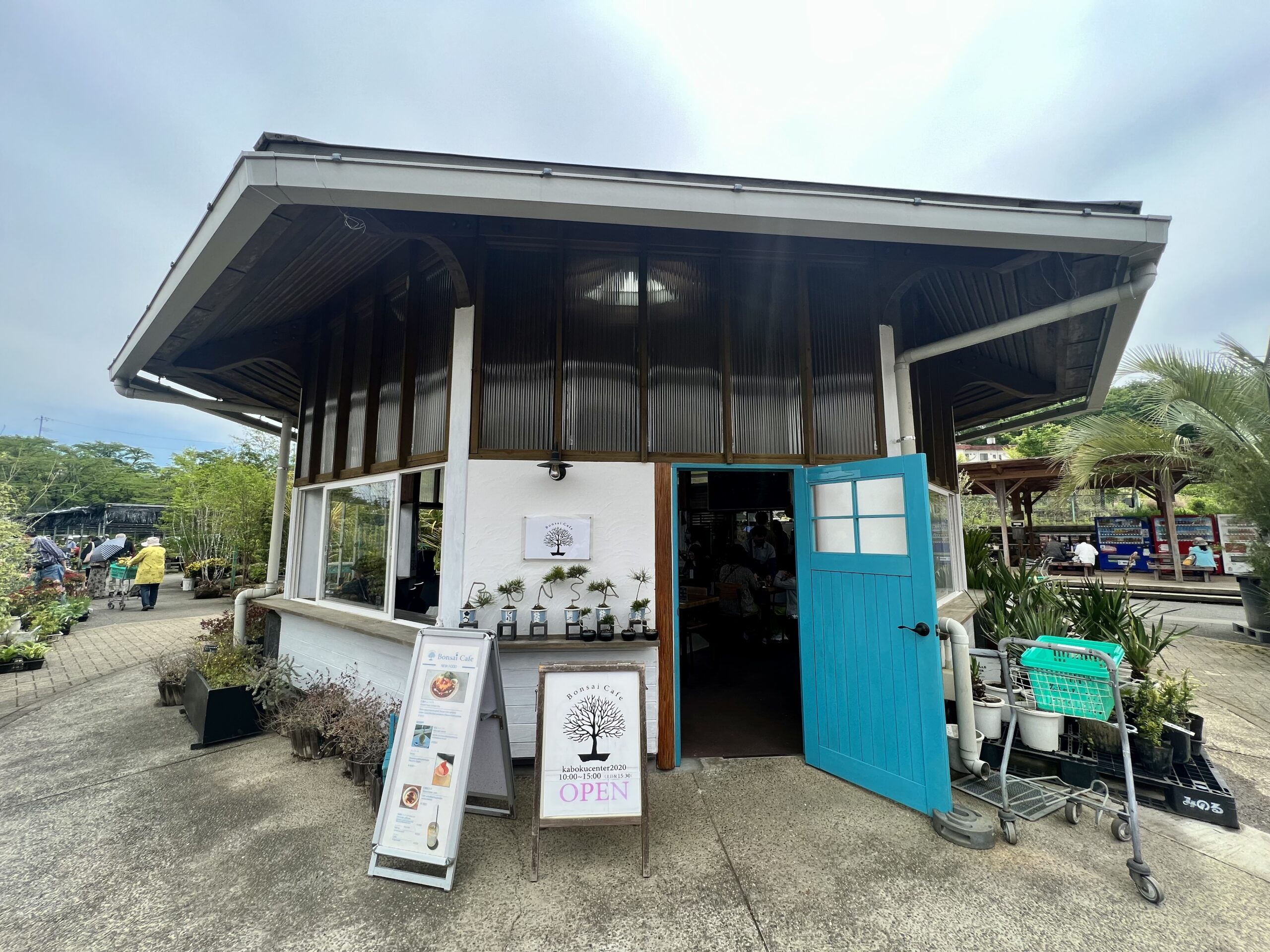 Bonsai Cafe