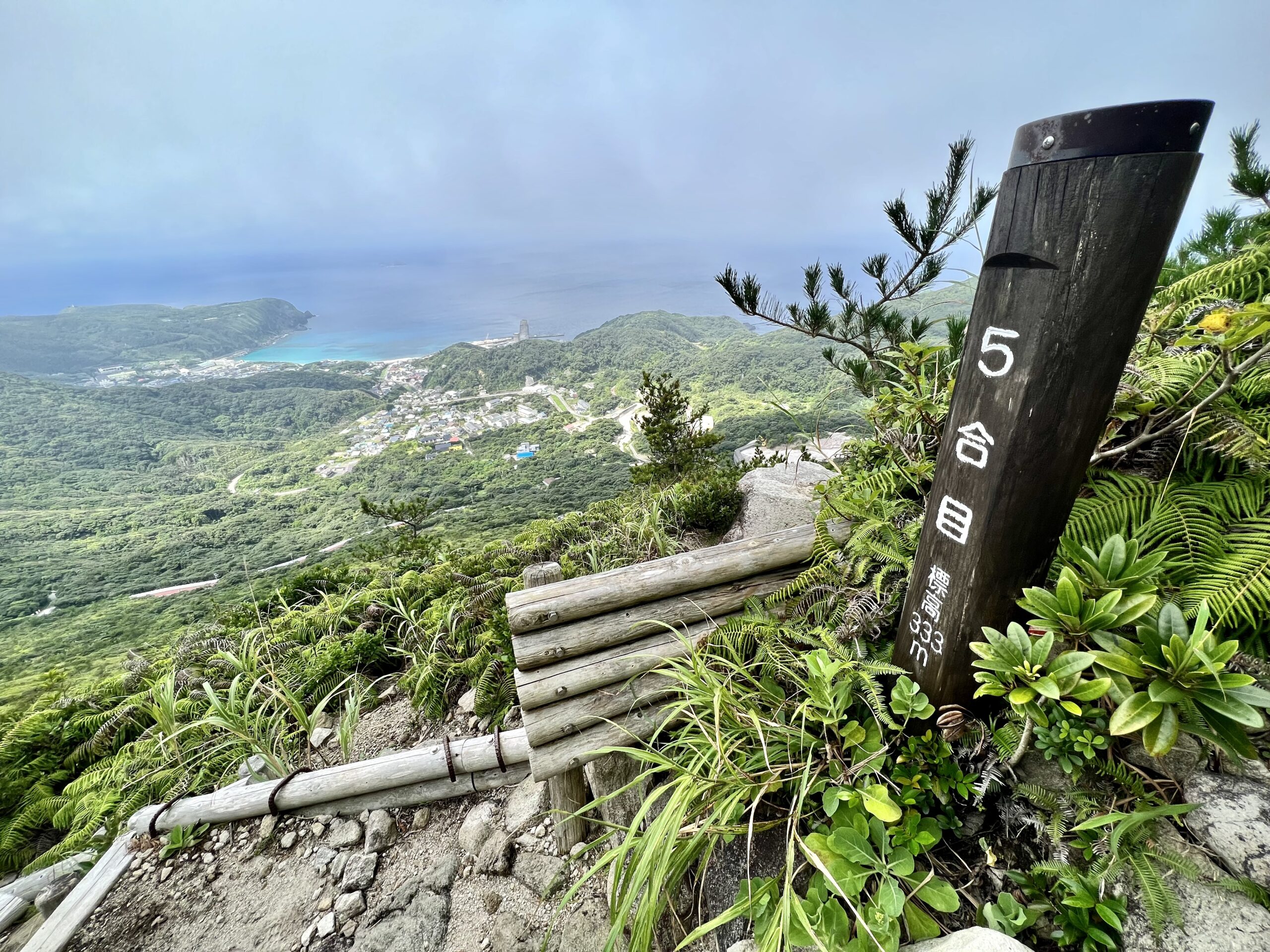 天上山 黒島登山道 5合目
