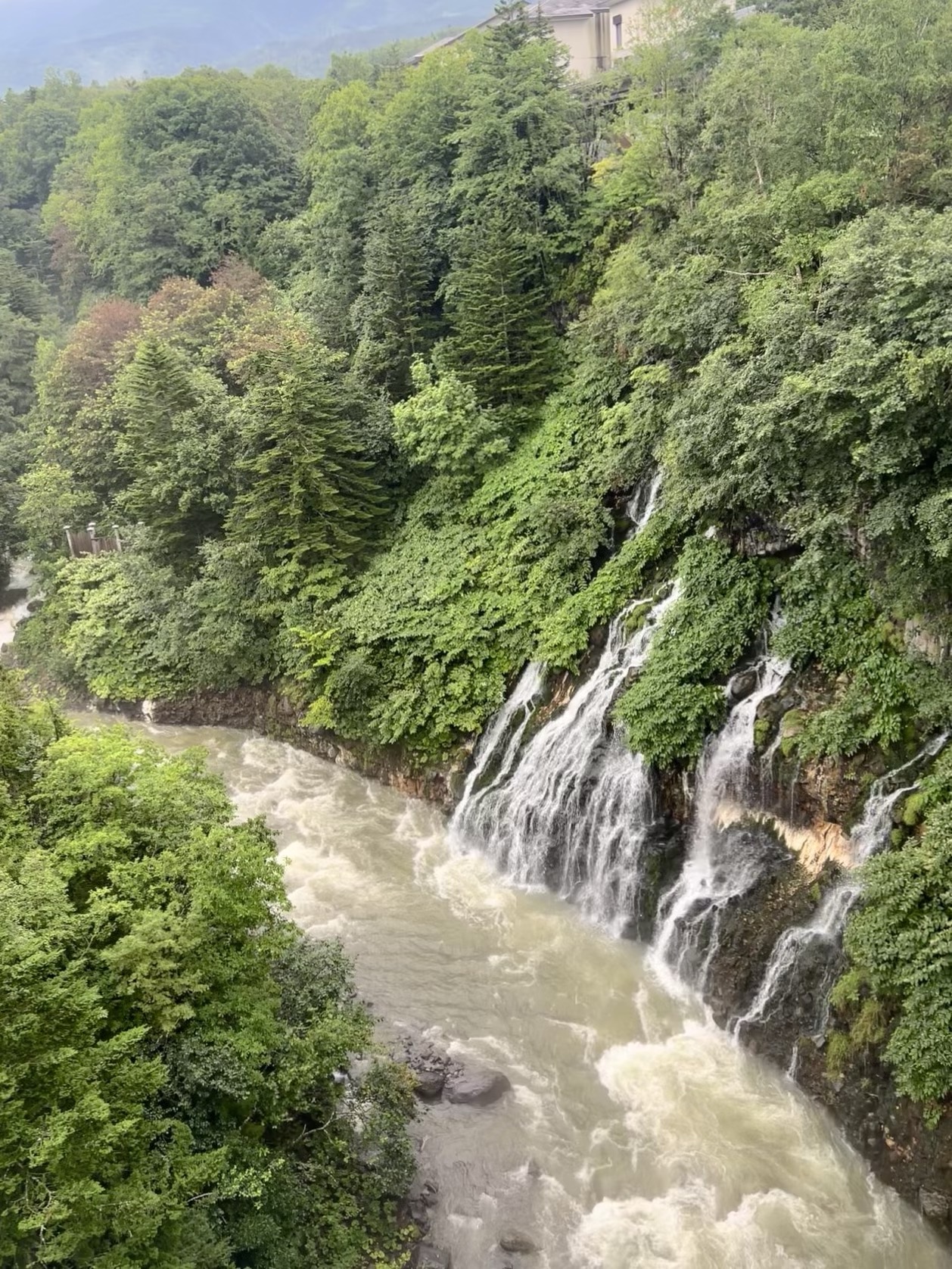 白ひげの滝