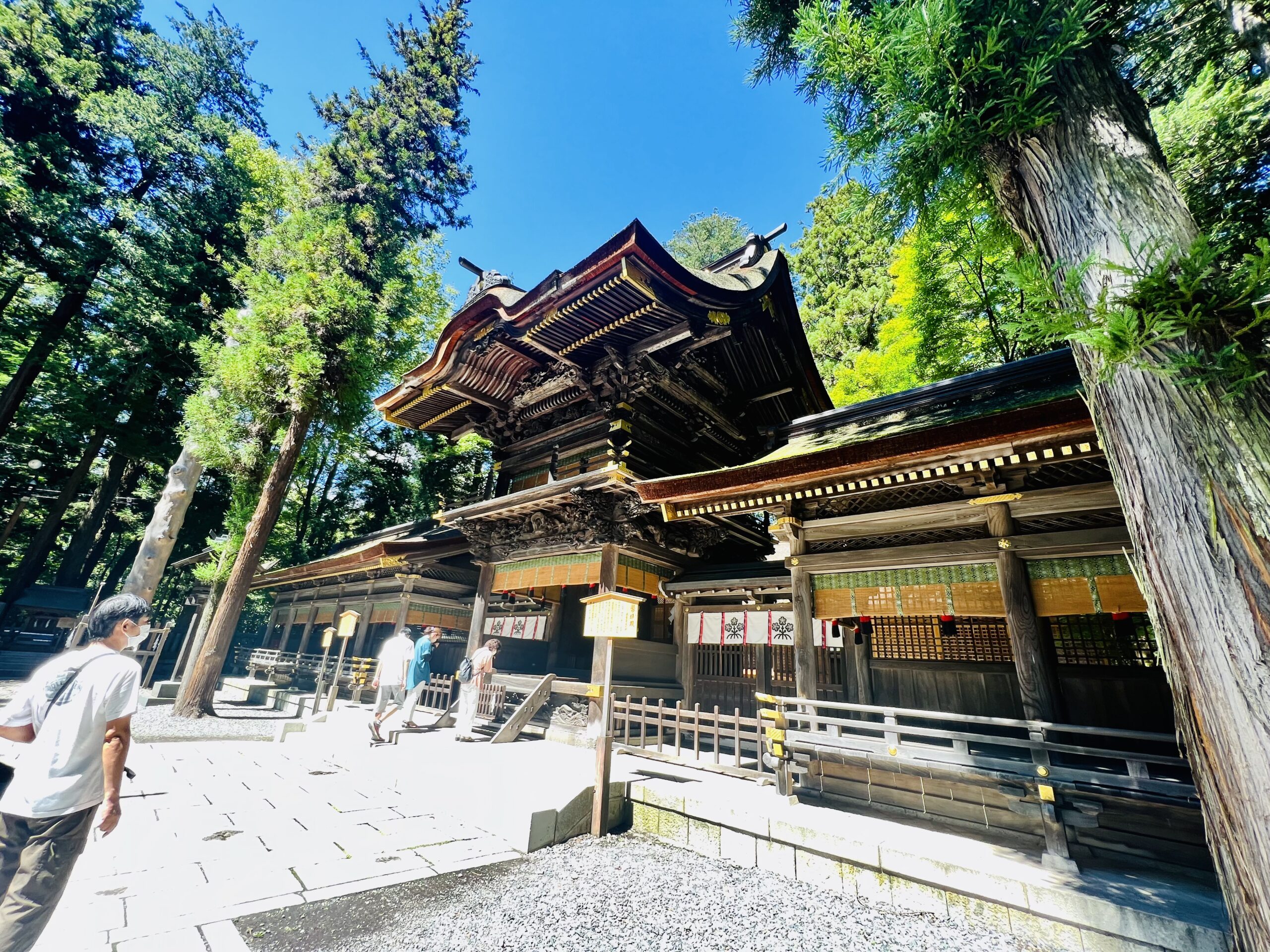 諏訪大社・下社春宮