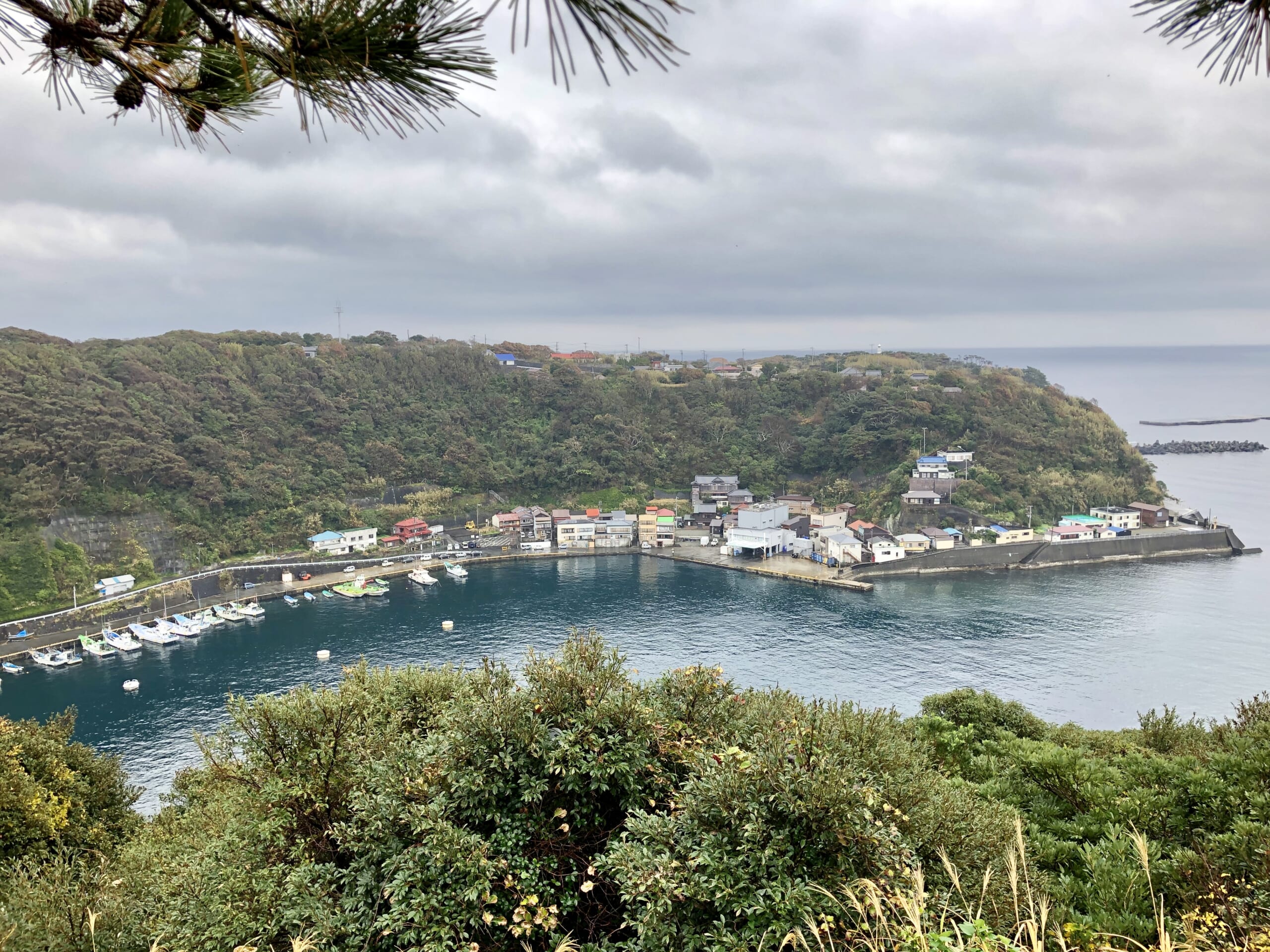 波浮港