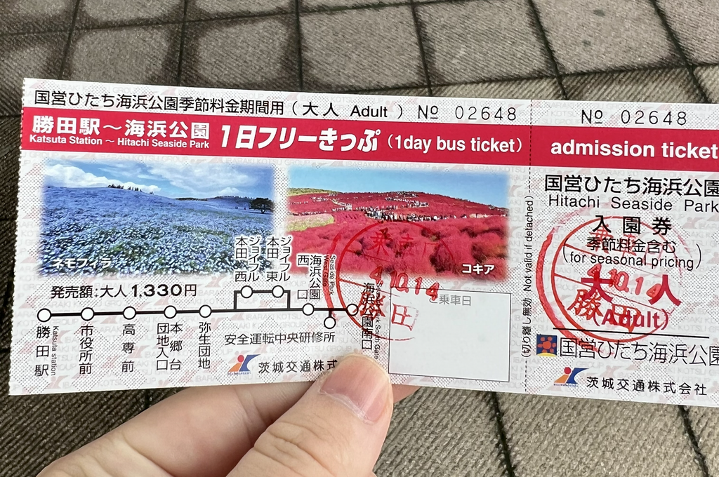 1日フリーきっぷ